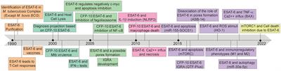 The role of ESAT-6 in tuberculosis immunopathology